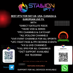 stallioniptv.pw.0.png