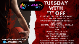 Tuesday Stallioniptv.png