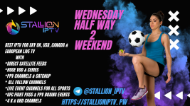 wednesday stallioniptv.png